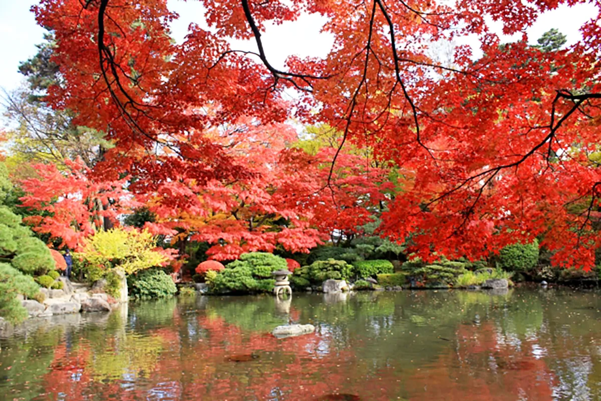 上山市秋の紅葉