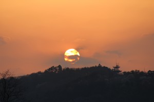 IMG_0181