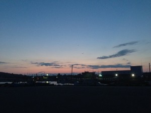 IMG_1417